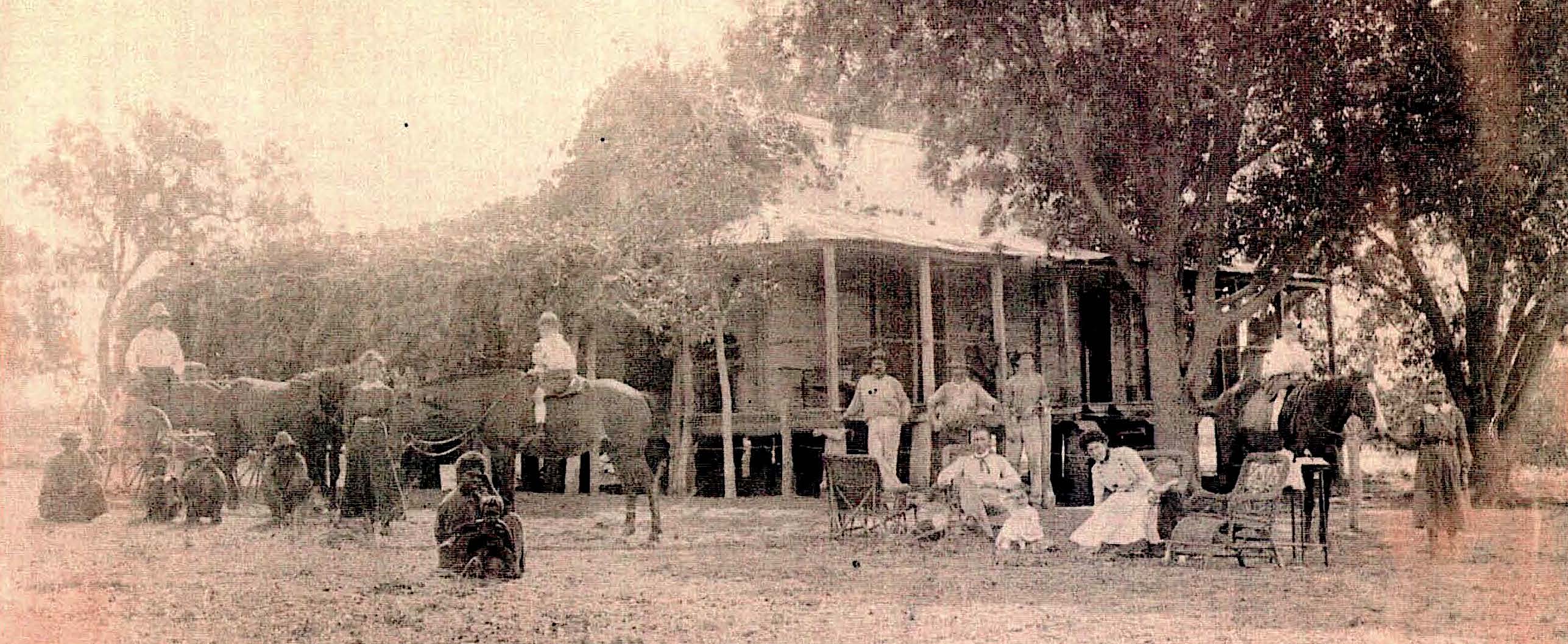 Curr family in far north queensland